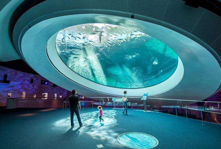 Frost-Science-Museum